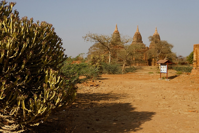 Pagan-Phaya Thon Zu-043